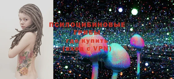 амф Богородск